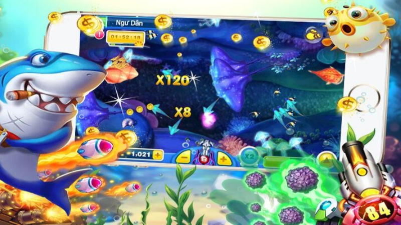 Giới thiệu về bắn cá king